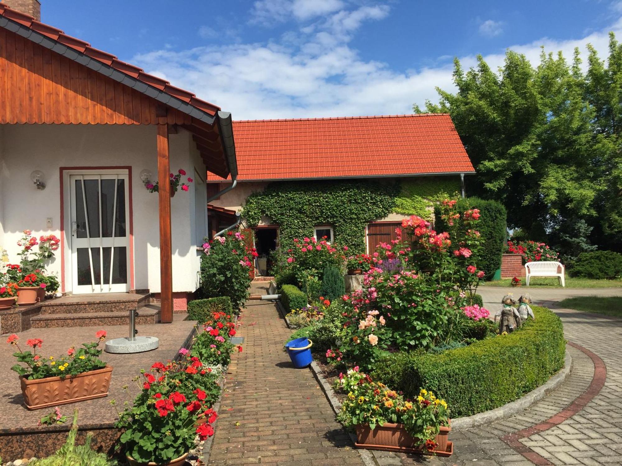 Top-Moderne Ferienwohnung Und Apartments Auf Frueherem Wunderschoenen Bauernhof Im Elbe-Elster-Kreis In Brandenburg Bei Herzberg-Elster, Schoenewalde, Holzdorf Esterno foto