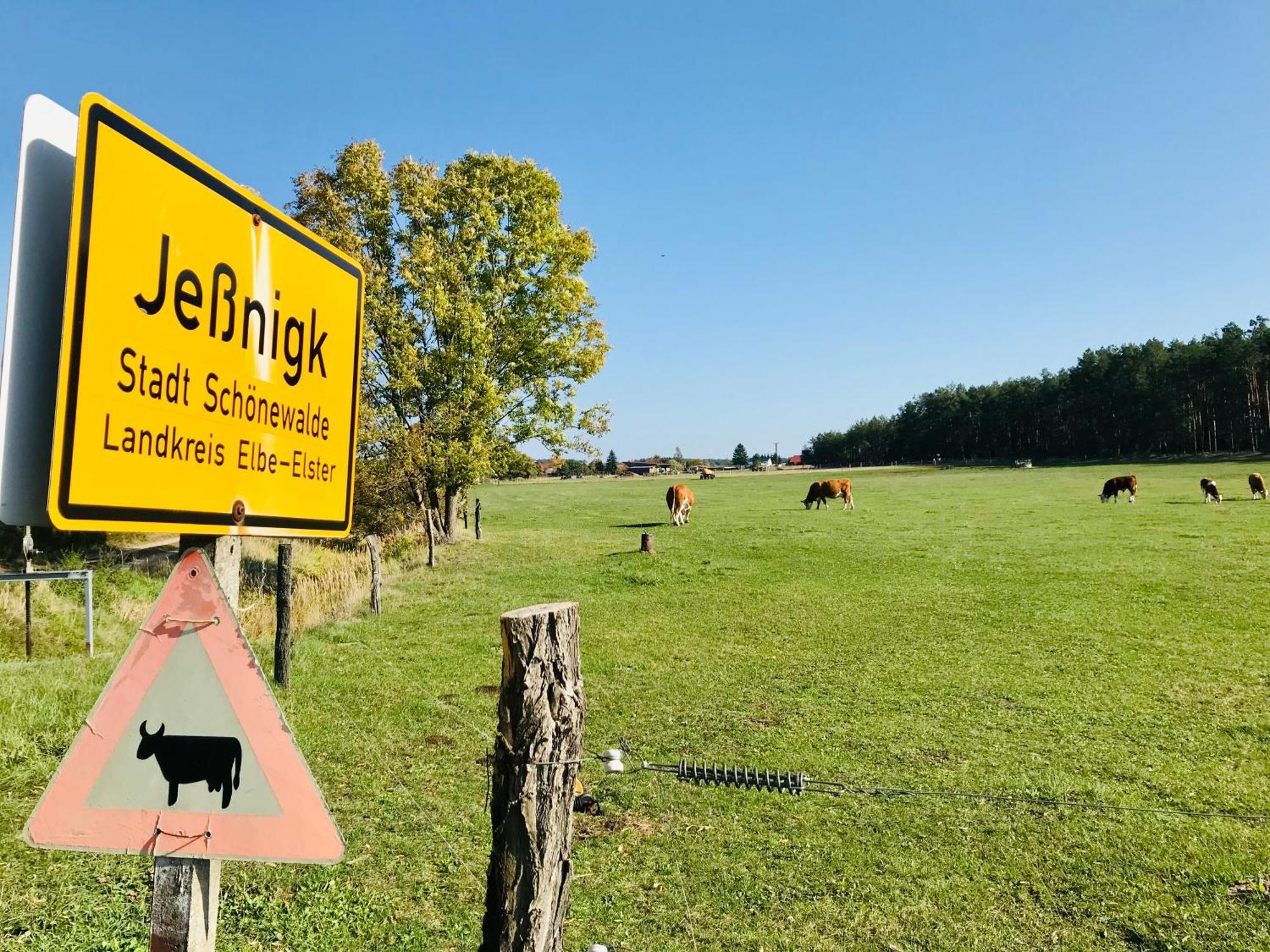 Top-Moderne Ferienwohnung Und Apartments Auf Frueherem Wunderschoenen Bauernhof Im Elbe-Elster-Kreis In Brandenburg Bei Herzberg-Elster, Schoenewalde, Holzdorf Esterno foto