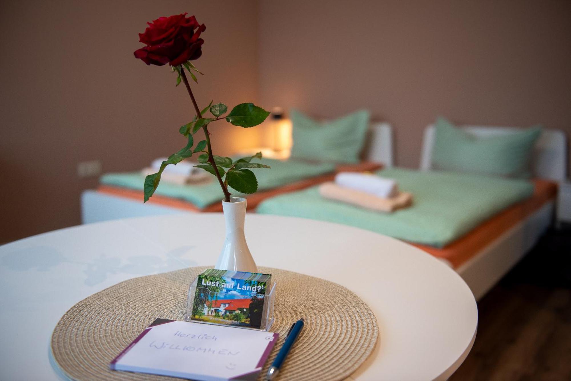 Top-Moderne Ferienwohnung Und Apartments Auf Frueherem Wunderschoenen Bauernhof Im Elbe-Elster-Kreis In Brandenburg Bei Herzberg-Elster, Schoenewalde, Holzdorf Esterno foto